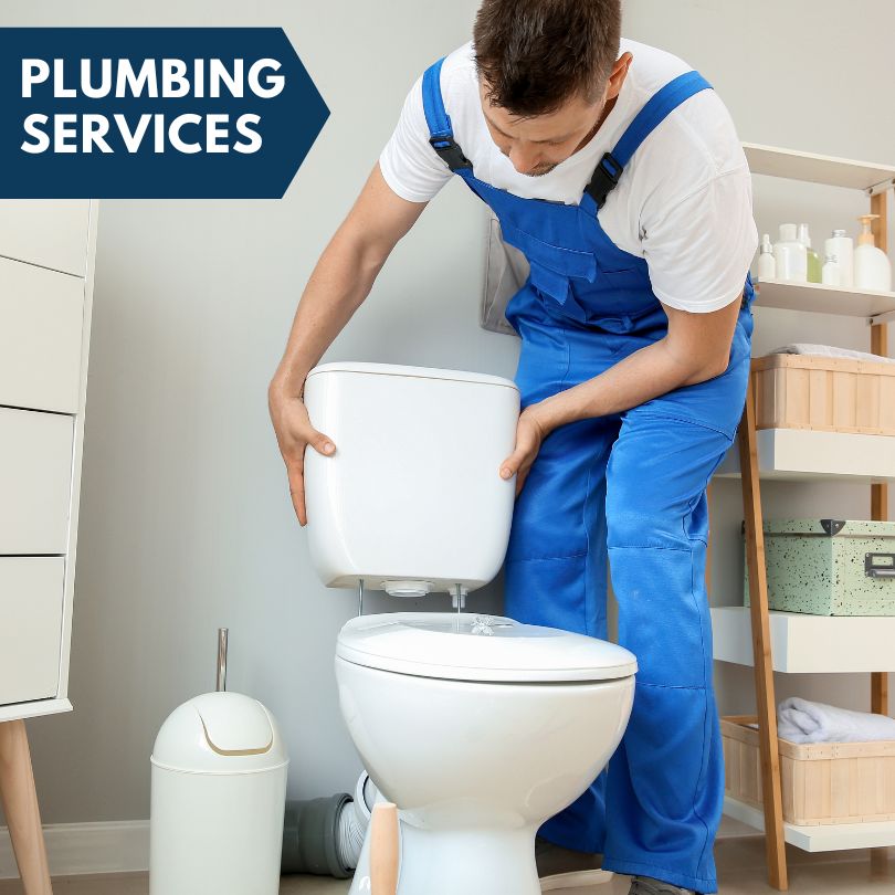 Plumbing Company in Harsens Island, MI